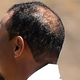 Illustration for article titled Should You Fuck Tiger Woods?